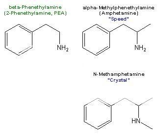 pea-amph.jpg