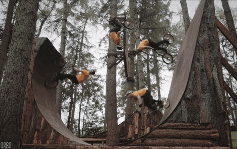 giphy.gif