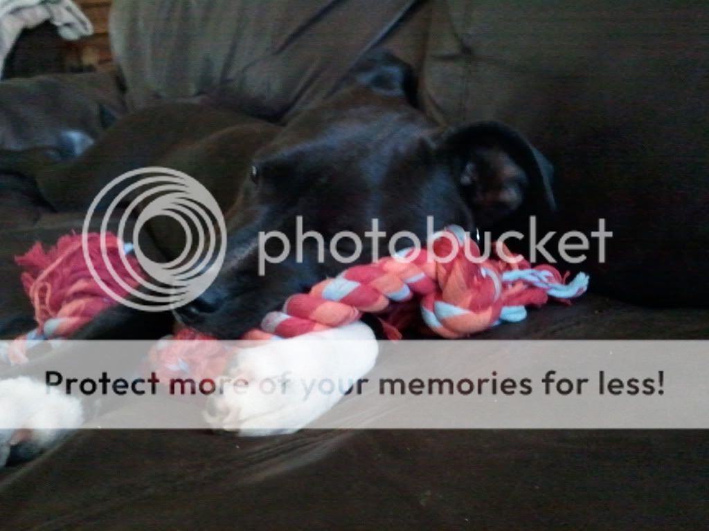 2011-04-01110344.jpg