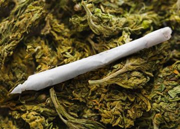 marajuana_360.jpg