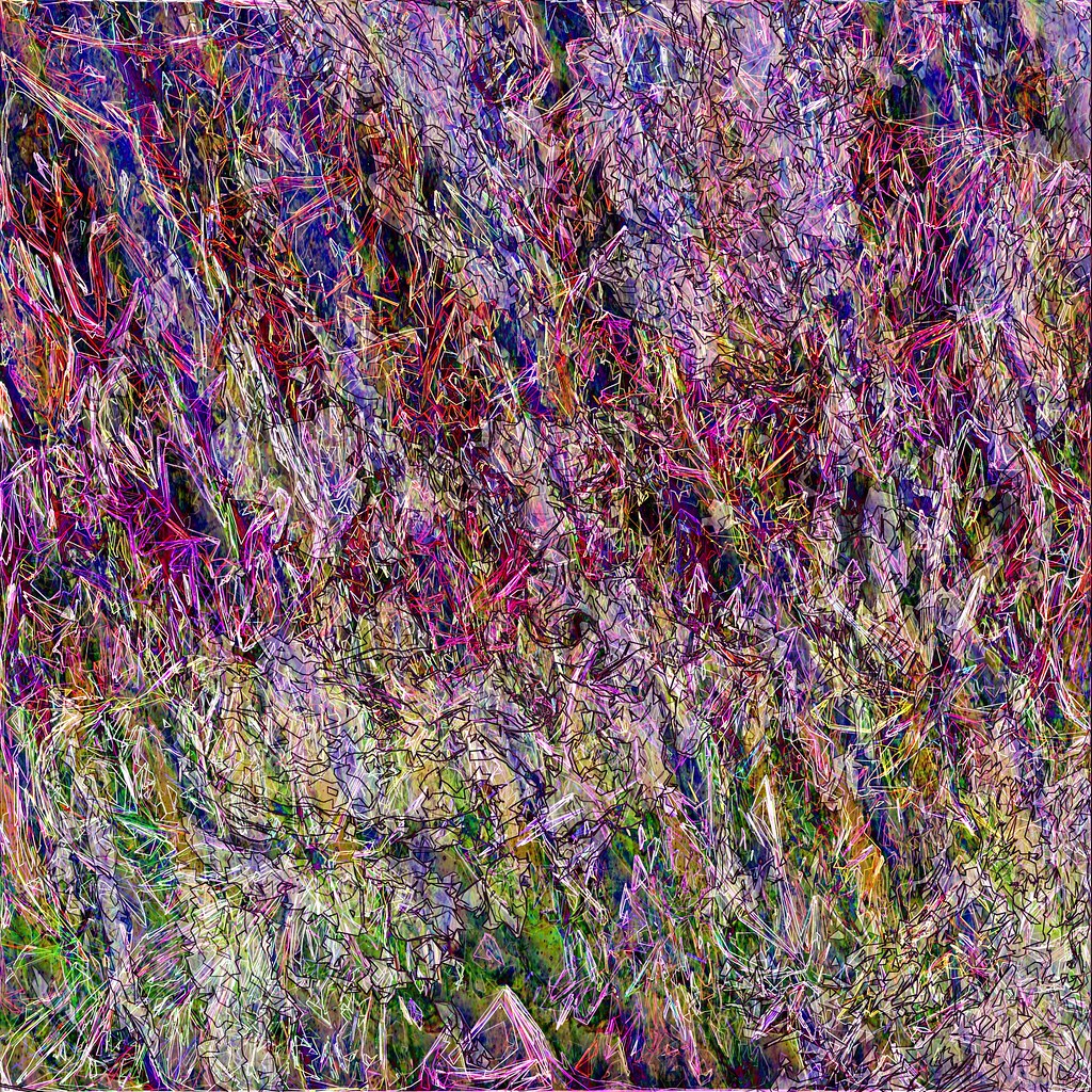 20980022389_1c5ba4165b_b.jpg