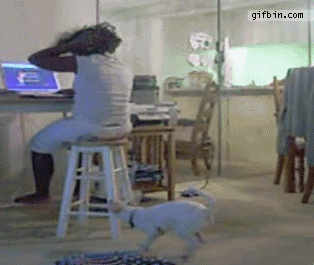 83290909.gif