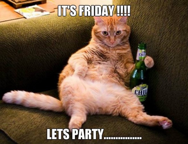 cat_friday_TGIF-660x5071.jpg