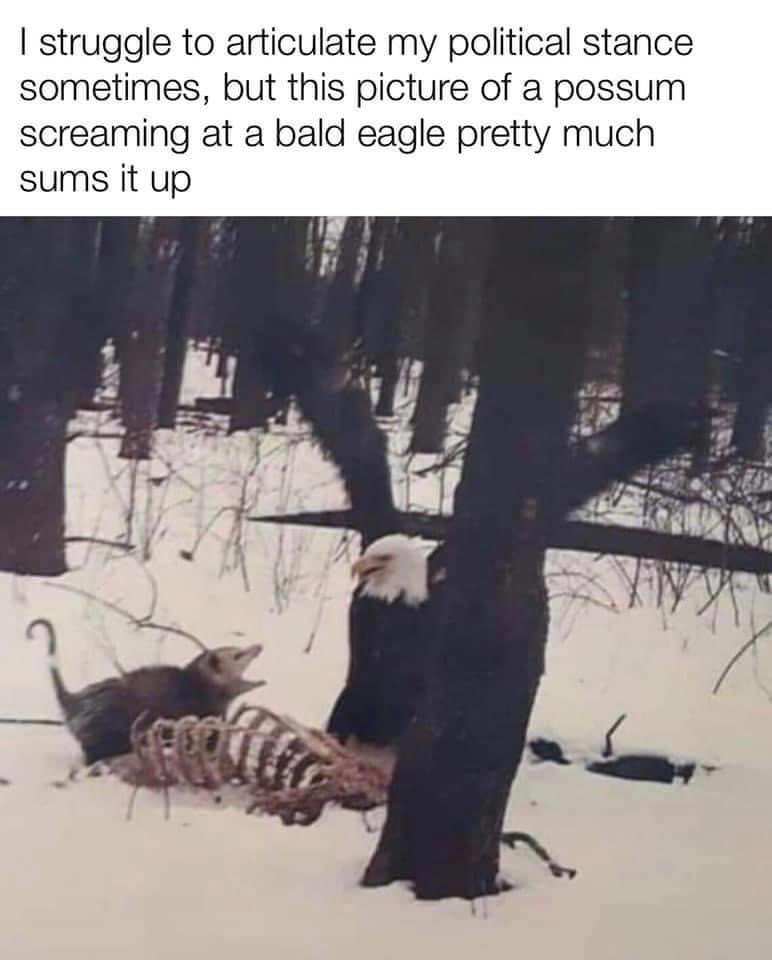 EdF35fsWAAECMop.jpg