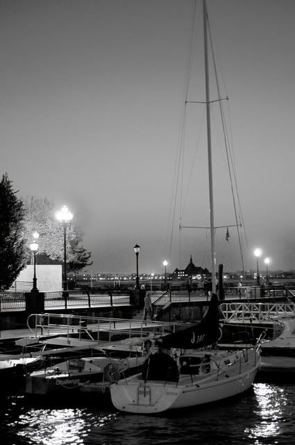DSC_0314.jpg