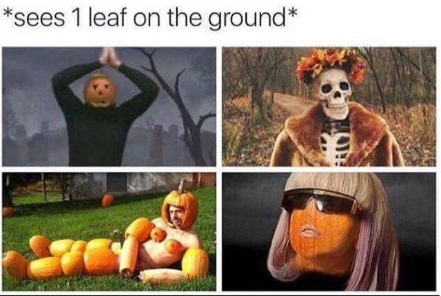 GbfoVIFl.jpg