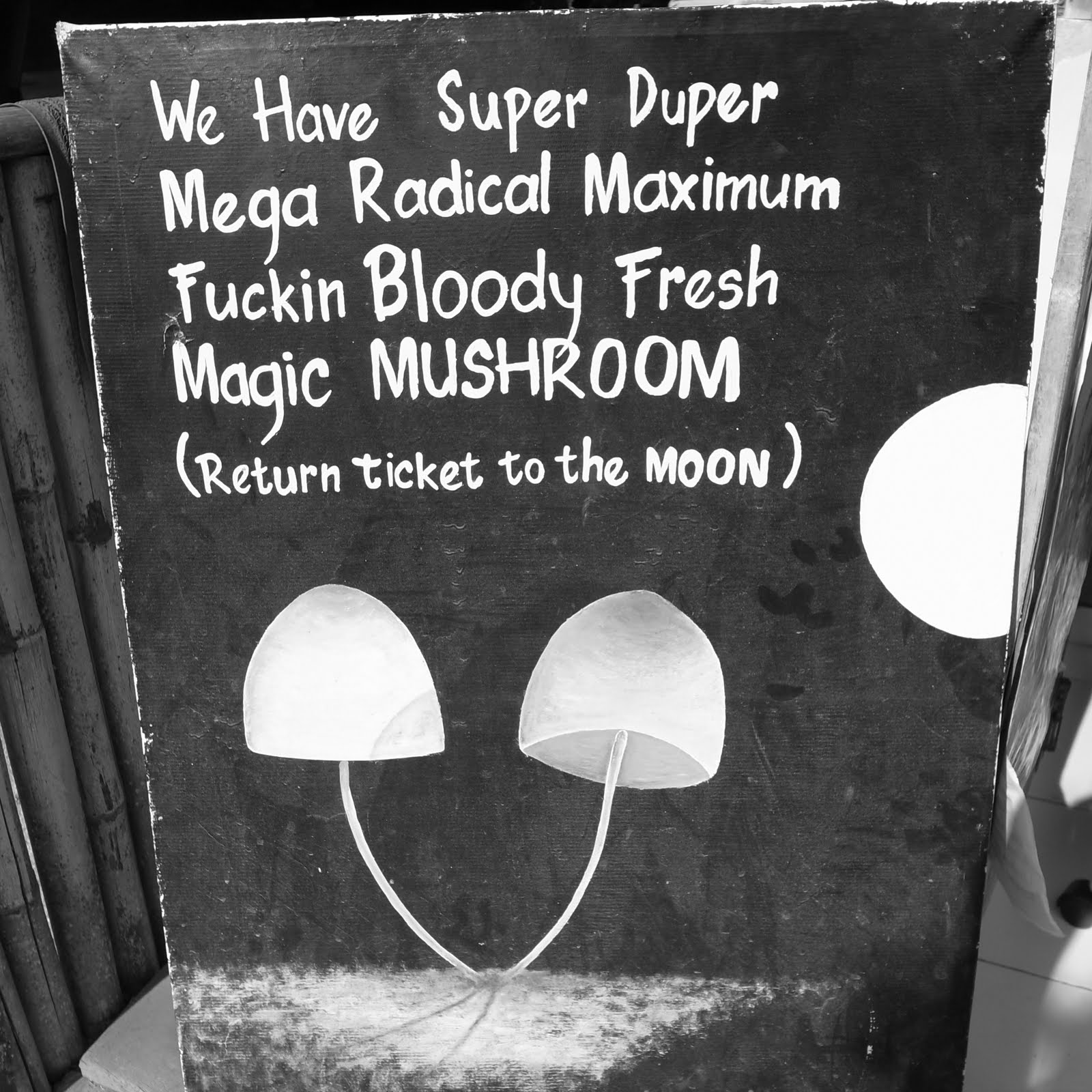 Magic-Mushroom-Gili-T-Dewey-Hammond.jpg