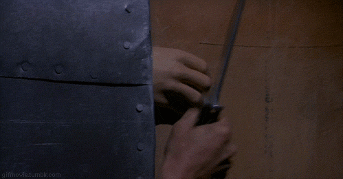 tumblr_lvkktu9tR21qg39ewo2_500.gif