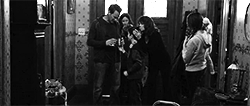 tumblr_mnytagdP6x1r5kouso5_250.gif