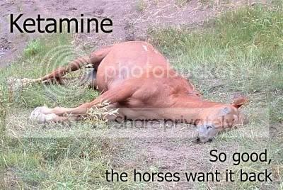 Ketamine.jpg