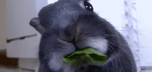 ZbNx9.gif