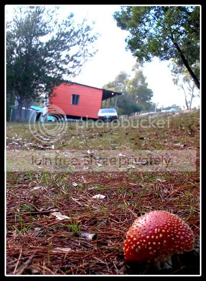 Ammanata.jpg