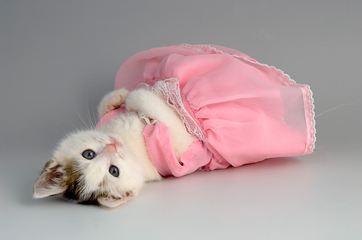 CAT_03_AL0105_01_P.JPG