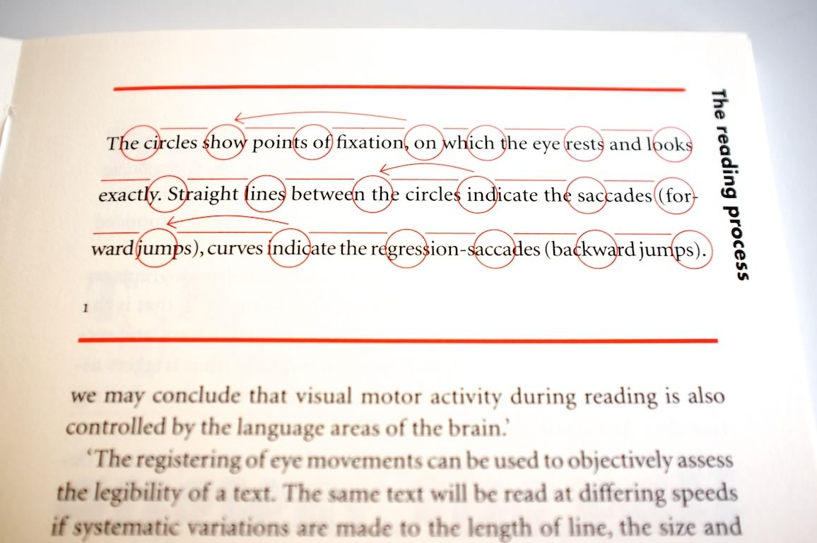 fig1.jpg
