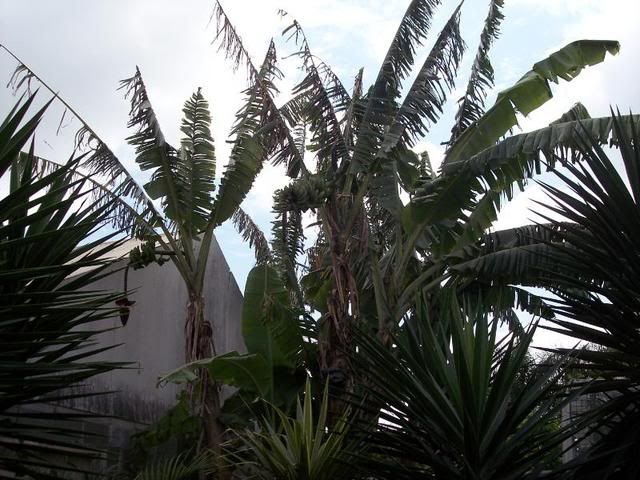 Spring10011.jpg