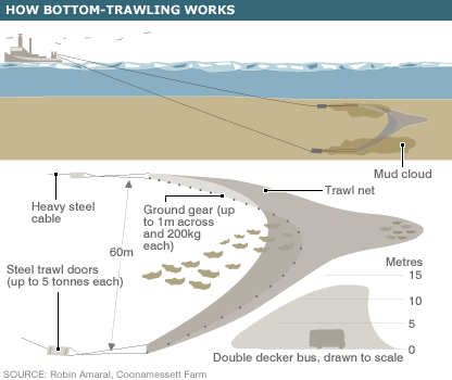 _44695910_bottom_trawling2_416.gif