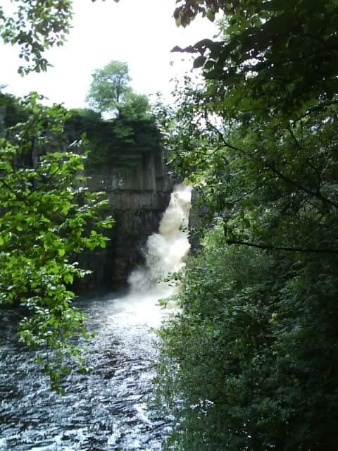 DSC00867.jpg