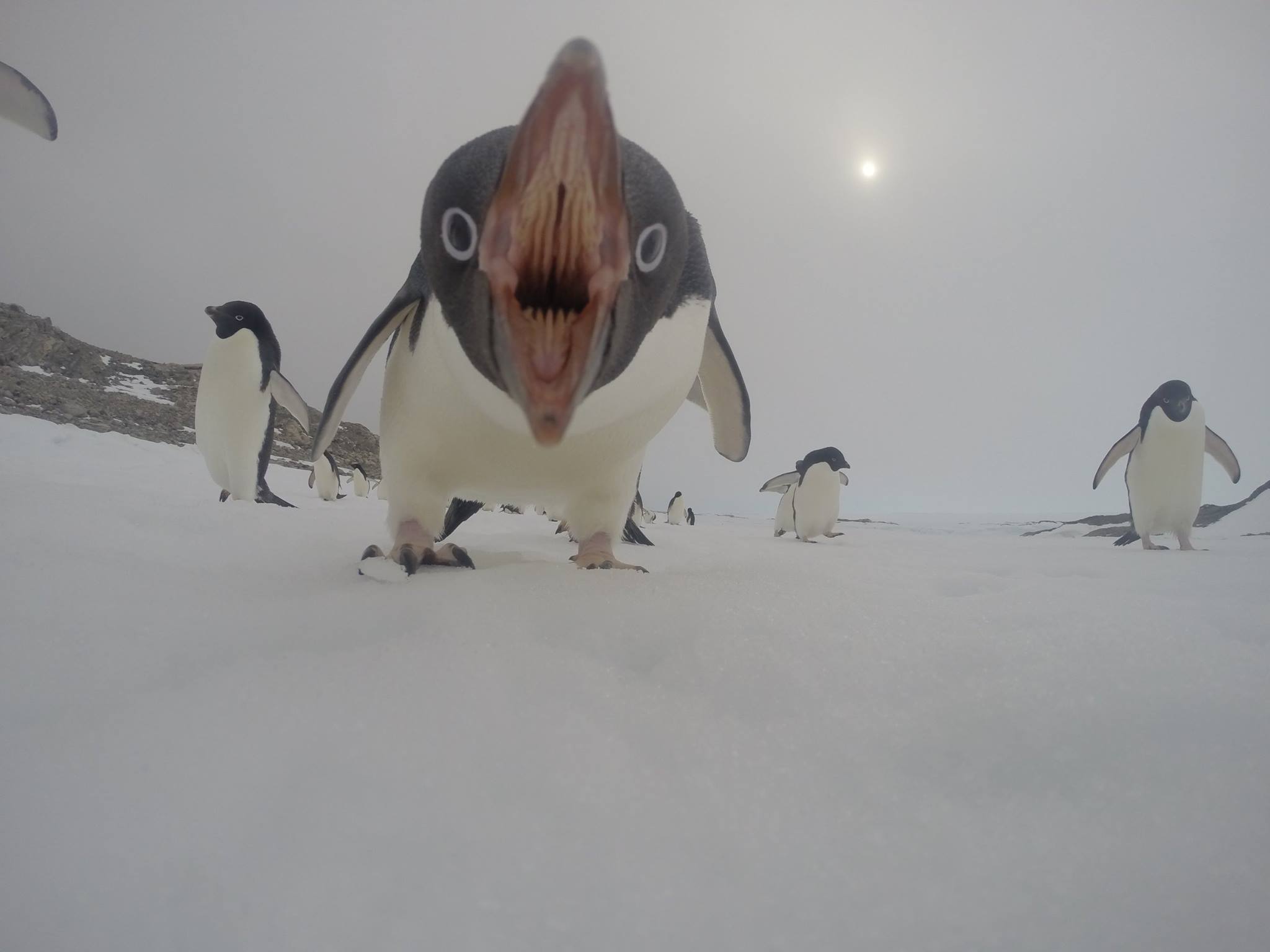 TZugq44.jpg