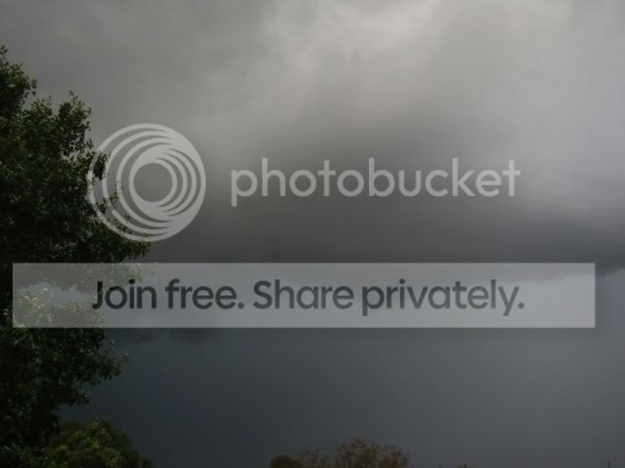 raintheme.jpg