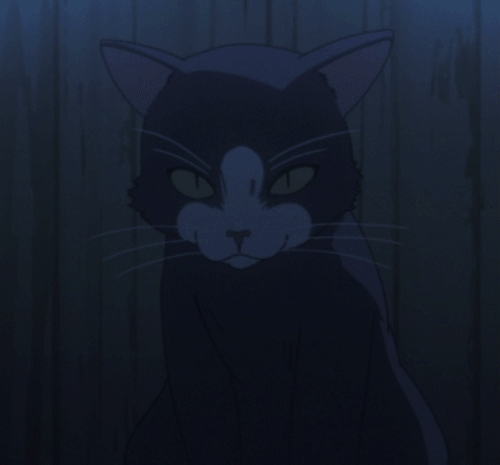 tumblr_mtly4aAIjE1r73plvo1_500.gif