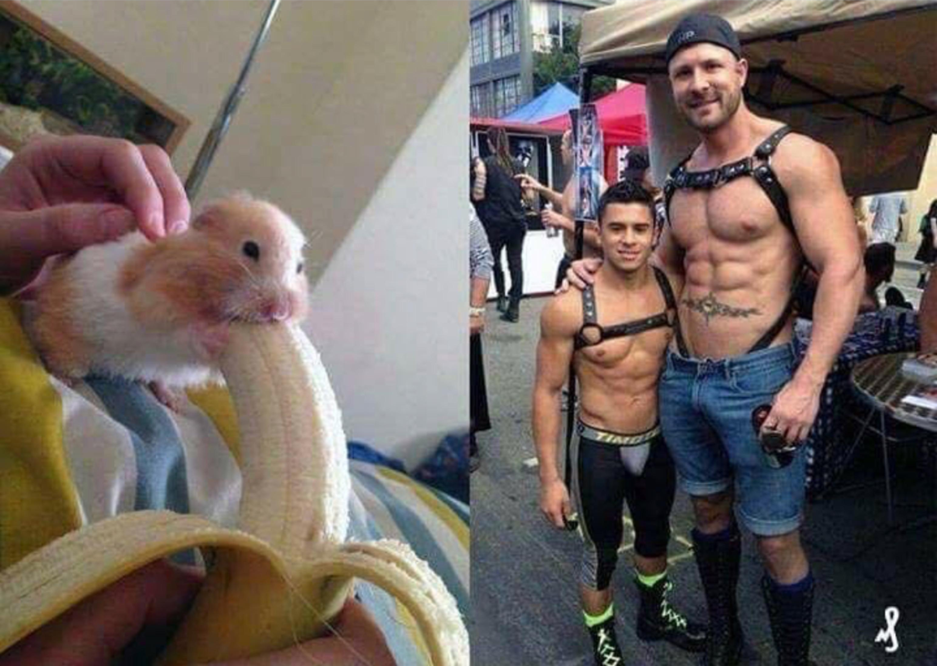 rbzhgd2.jpg