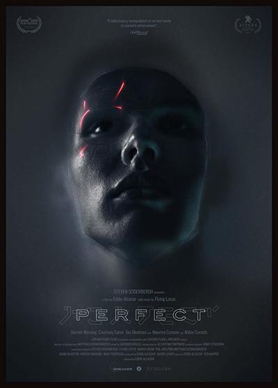 large_perfect-poster.jpg