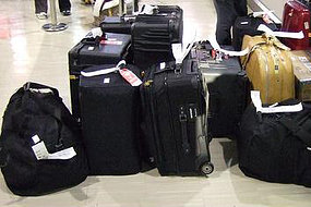 r543465_3169689.jpg