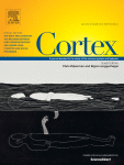 www.sciencedirect.com