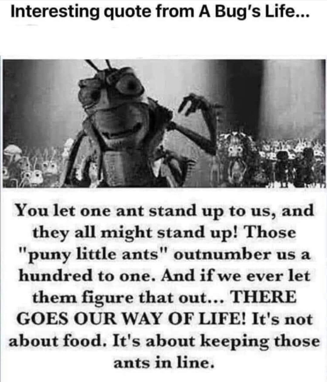 lgy75q3j71u71.jpg