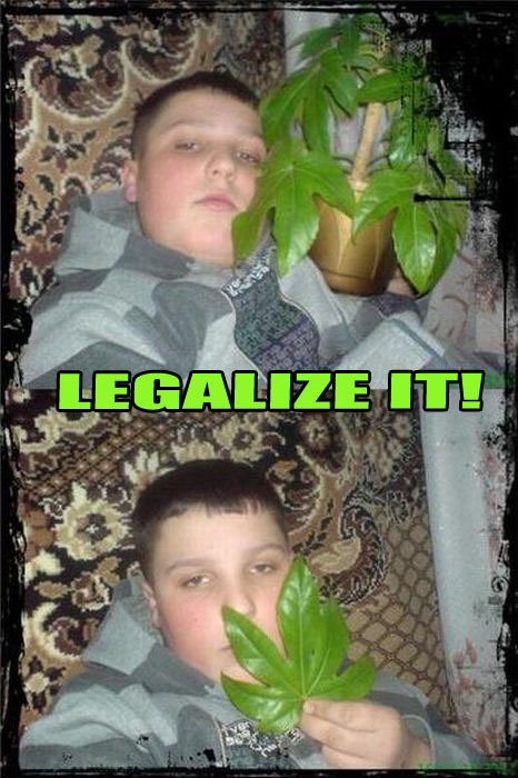 tumblr_lbp0c3oEus1qdwn3io1_500.jpg