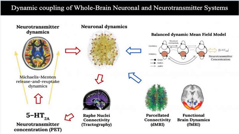 neurosciencenews.com