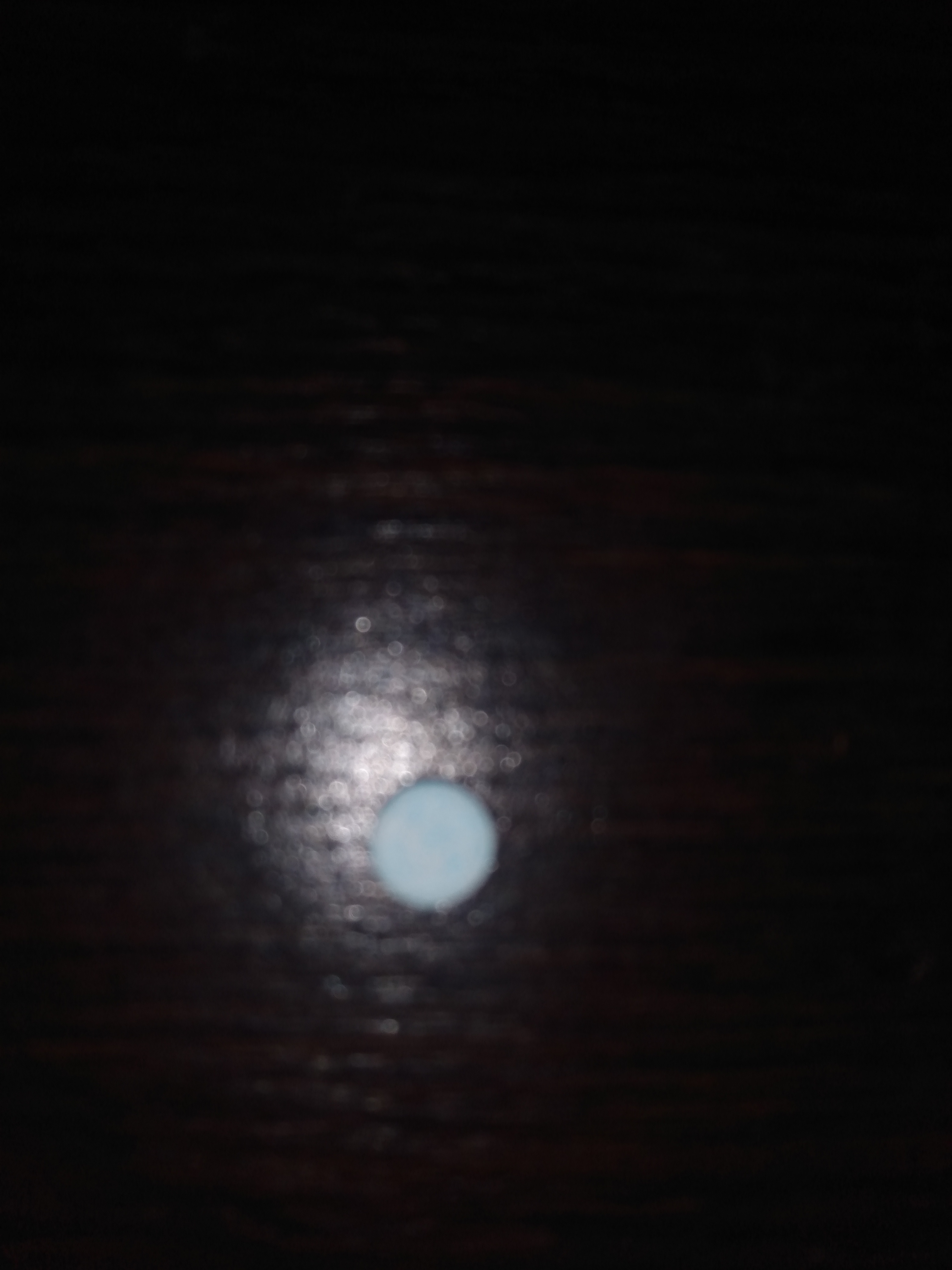 IMG-20221104-165514521.jpg