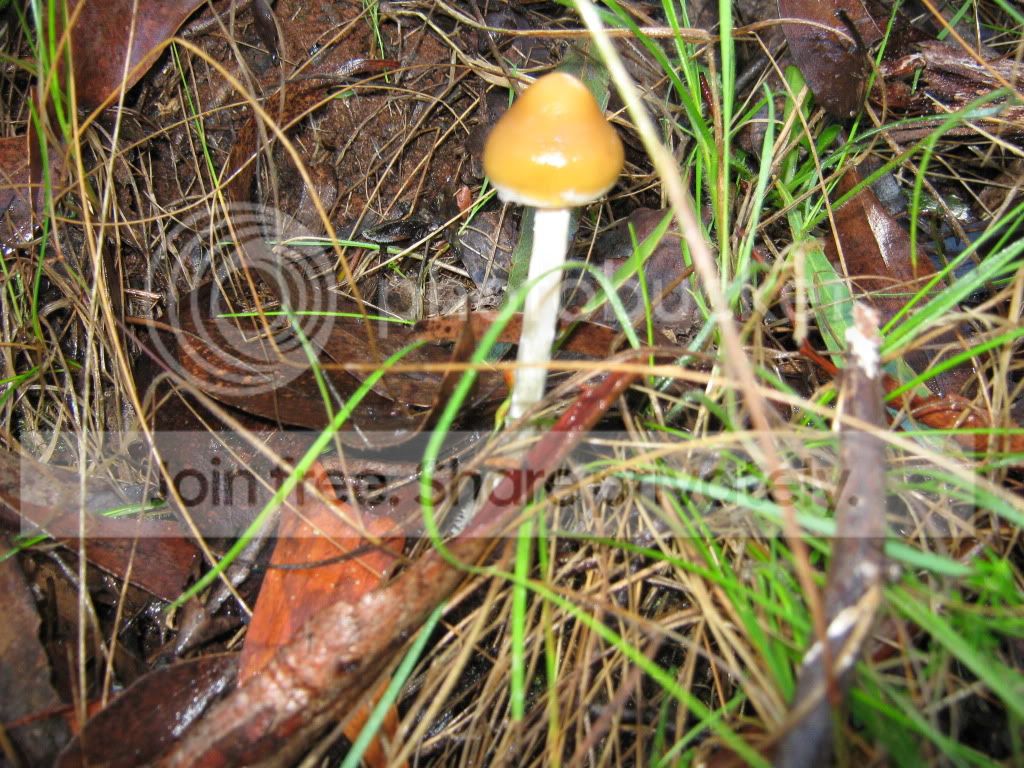 IMG_0722.jpg