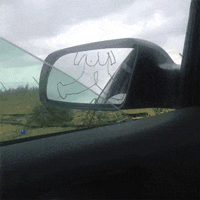 HiNLJdX5.gif