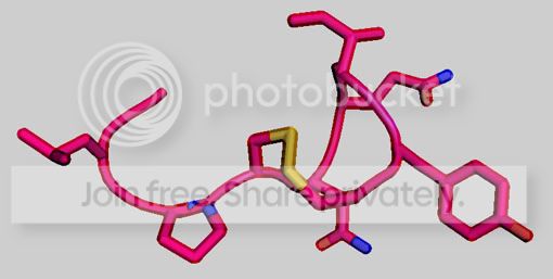oxytocin-small.jpg