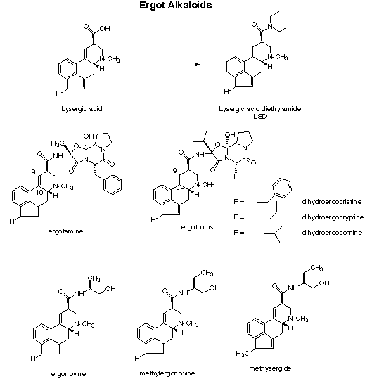 Ergot_Alkaloids_Lysergic_Acid_Molecule.gif