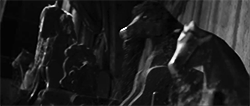 tumblr_mnytagdP6x1r5kouso8_250.gif