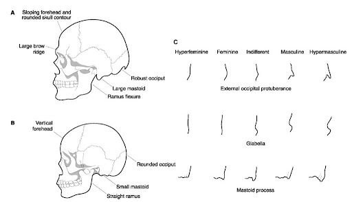 tmp495_thumb_thumb1.jpg