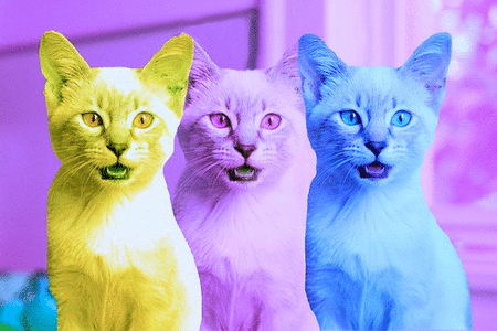 tumblr_lqyxwomQuy1qizhaoo1_500.gif