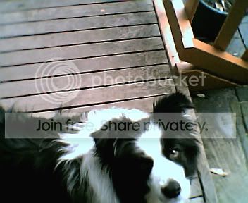 Photo001.jpg