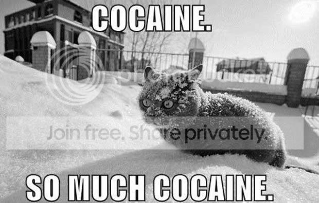coke_cat_freak.jpg