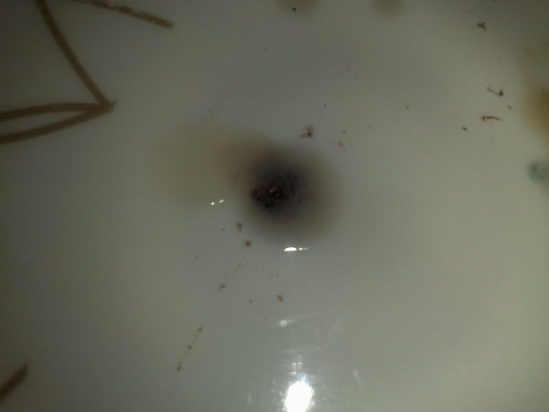 20112009227.jpg