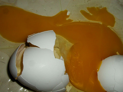 egg.jpg