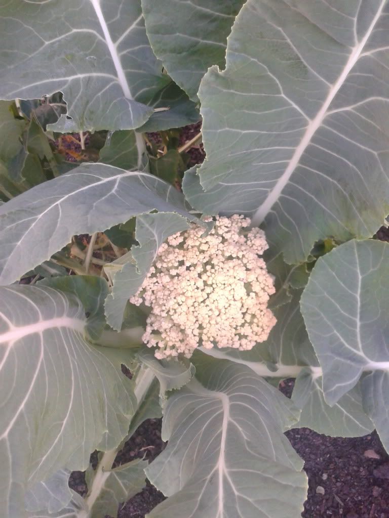 2013-09-02144429_zps2035e20c.jpg