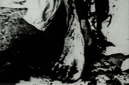 tumblr_mk16kpgmew1rne776o2_500.gifv