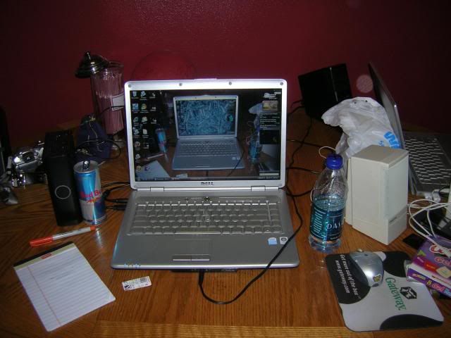 WINDOWS.jpg