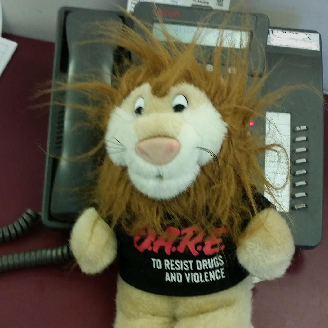 11-dare-lion.w529.h529.2x.jpg