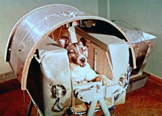 Laika.jpg