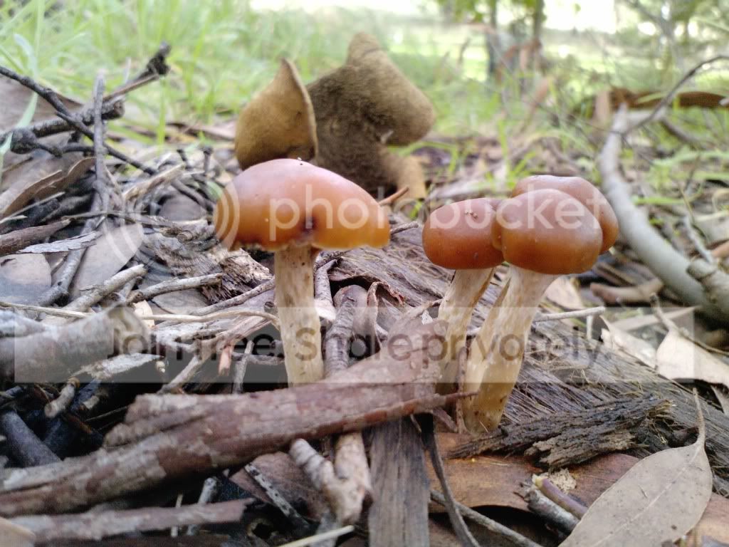 P1415_19-06-10.jpg