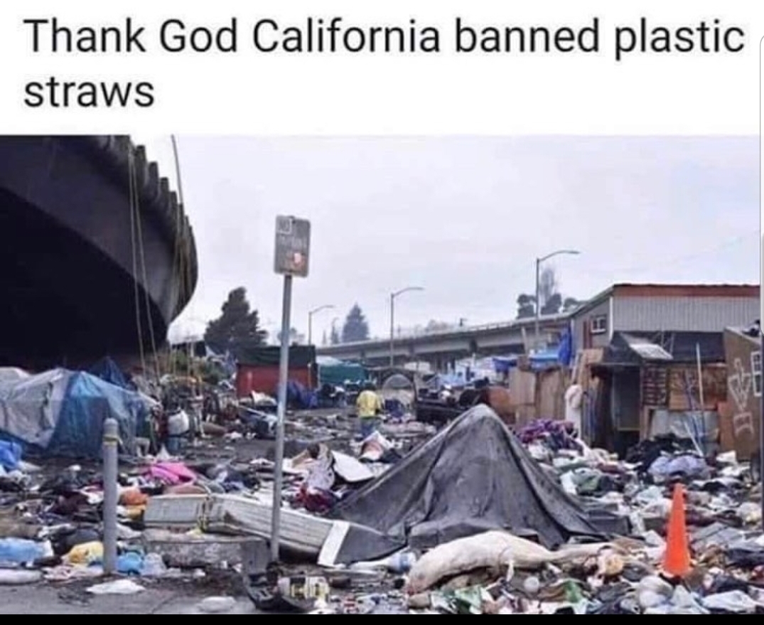 6fpkvcsv8qe41.jpg